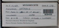 Image Associated With the Occurence